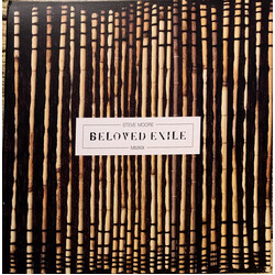 Steve Moore (3) Beloved Exile Vinyl LP USED