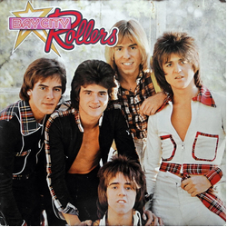 Bay City Rollers Wouldn't You Like It? Vinyl LP USED