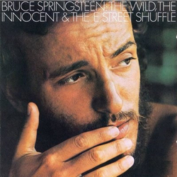 Bruce Springsteen The Wild, The Innocent &  The E Street Shuffle Vinyl LP USED