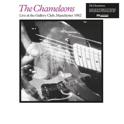 The Chameleons Live At The Gallery Club Vinyl LP USED