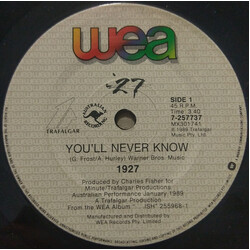 1927 You'll Never Know USED VINYL 7INCH 45 RPM SINGLE
