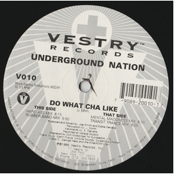Underground Nation Do What Cha Like Vinyl 12" USED