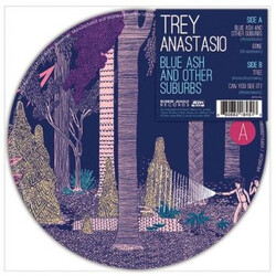 Trey Anastasio Blue Ash And Other Suburbs USED VINYL 7INCH 45 RPM RECORD STORE DAY LIMITED EDITION PICTURE DISC
