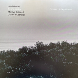 Joe Lovano / Trio Tapestry / Marilyn Crispell / Carmen Castaldi Garden Of Expression Vinyl LP USED