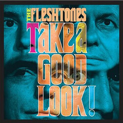 The Fleshtones Take A Good Look! Vinyl LP USED