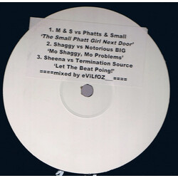 eVilfoz The Small Phatt Girl Next Door / Mo Shaggy, Mo Problems / Let The Beat Poing! USED VINYL 12INCH 33 S RPM SINGLE SIDED UNOFFICIAL RELEASE WHITE