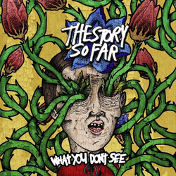 The Story So Far (2) What You Don't See Vinyl LP USED