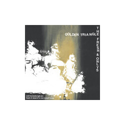 Golden Triangle (2) / The Fresh & Onlys Golden Triangle / The Fresh & Onlys USED VINYL 7INCH 45 RPM LIMITED EDITION