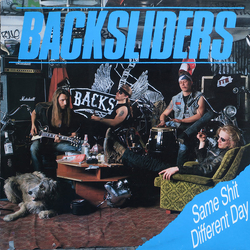 Backsliders Same Shit Different Day Vinyl LP USED