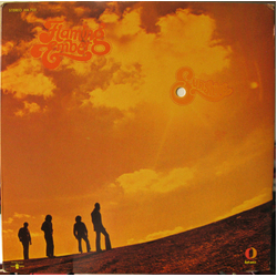 Flaming Ember Sunshine Vinyl LP USED