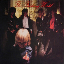 The Fucking World The Fucking World Vinyl LP USED