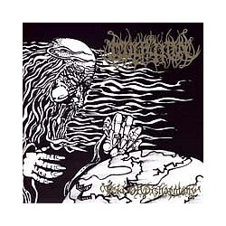 Mutation (4) Void Of Disharmony USED VINYL 7INCH 33 S RPM