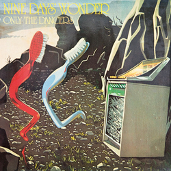 Nine Days' Wonder Only The Dancers Vinyl LP USED
