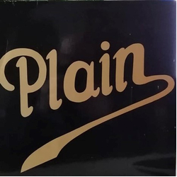 Plain (13) Plain Vinyl LP USED
