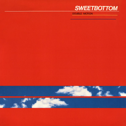 Sweetbottom Double Motion Vinyl LP USED