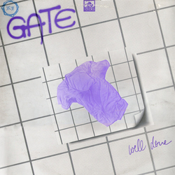 Gate (4) Well Done Vinyl LP USED