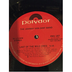 Johnny Van Zant Band Last Of The Wild Ones/ It's You USED VINYL 12INCH 33 S RPM PROMO STEREO