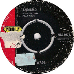 Johnny Wade Andiamo / You Fool Of A Heart USED VINYL 7INCH 45 RPM SINGLE