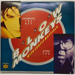 The Blow Monkeys / Curtis Mayfield (Celebrate) The Day After You USED VINYL 7INCH