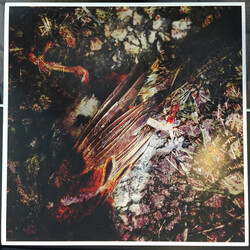 Thirty Pounds Of Bone The Taxidermist Vinyl LP USED
