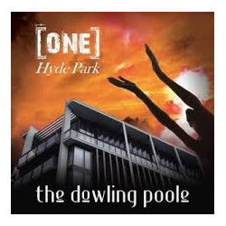 The Dowling Poole One Hyde Park Vinyl LP USED