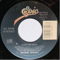 Michael Jackson Gone Too Soon Vinyl 7" USED