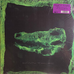 Avey Tare Down There Vinyl LP USED