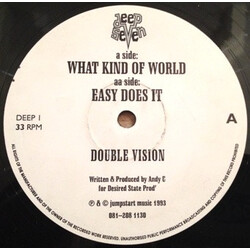 Double Vision (2) What Kind Of World USED VINYL 12INCH 45 RPM