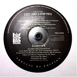 Truce Joy Vinyl 12" USED