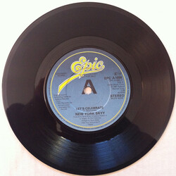 Skyy Let's Celebrate USED VINYL 7INCH 45 RPM SINGLE PROMO