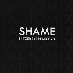 Nitzer Ebb Shame USED VINYL 7INCH 45 RPM SINGLE