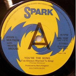 John L. Watson / White Mouse (3) You're The Song (I've Always Wanted To Sing) Vinyl 7" USED