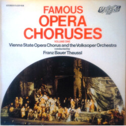 Wiener Staatsopernchor / Wiener Volksopernorchester / Franz Bauer-Theussl Famous Opera Choruses Volume One Vinyl LP USED