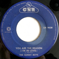 Sunny Boys (3) You Are The Reason (I'm In Love) USED VINYL 7INCH 45 RPM