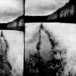 Tenebrous Liar the cut Vinyl LP USED