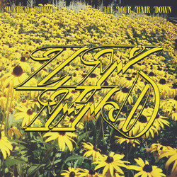 Let Your Hair Down Waiting Room Vinyl LP USED