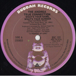 Andrea True Connection What's Your Name, What's Your Number / Fill Me Up (Heart To Heart) USED VINYL 12INCH SINGLE 33 S RPM