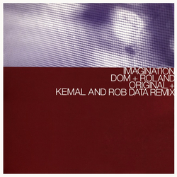Dom & Roland Imagination / Imagination (Kemal & Rob Data Remix) Vinyl 12" USED