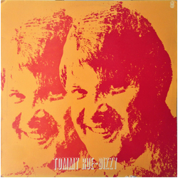 Tommy Roe Dizzy Vinyl LP USED