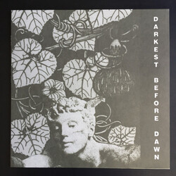 Dark Day Darkest Before Dawn Vinyl LP USED