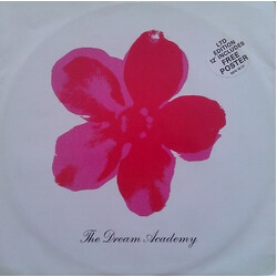 The Dream Academy The Love Parade USED VINYL 12INCH 45 RPM LIMITED EDITION