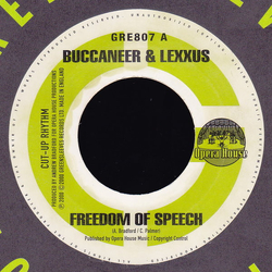 Buccaneer / Lexxus Freedom Of Speech Vinyl 7" USED