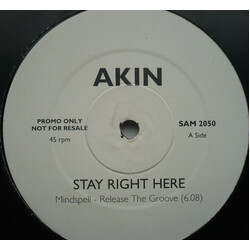 Akin Stay Right Here USED VINYL 12INCH PROMO
