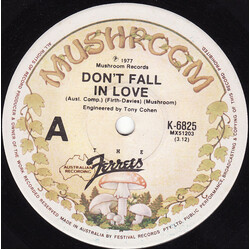 The Ferrets Don't Fall In Love USED VINYL 7INCH 45 RPM SINGLE
