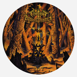 The Few Against Many Sot Vinyl LP USED