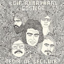 Edip Akbayram / Dostlar Nedir Ne Değildir? Vinyl LP USED