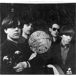 The Fleshtones The World Has Changed USED VINYL 7INCH SINGLE