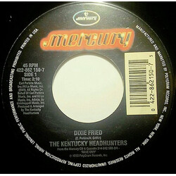The Kentucky Headhunters Dixie Fried USED VINYL 7INCH 45 RPM SINGLE