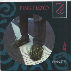 Pink Floyd Learning To Fly USED VINYL 7INCH 45 RPM SINGLE