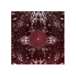 Psyside Organic Blob / Wave Shadow USED VINYL 12INCH 45 RPM EP